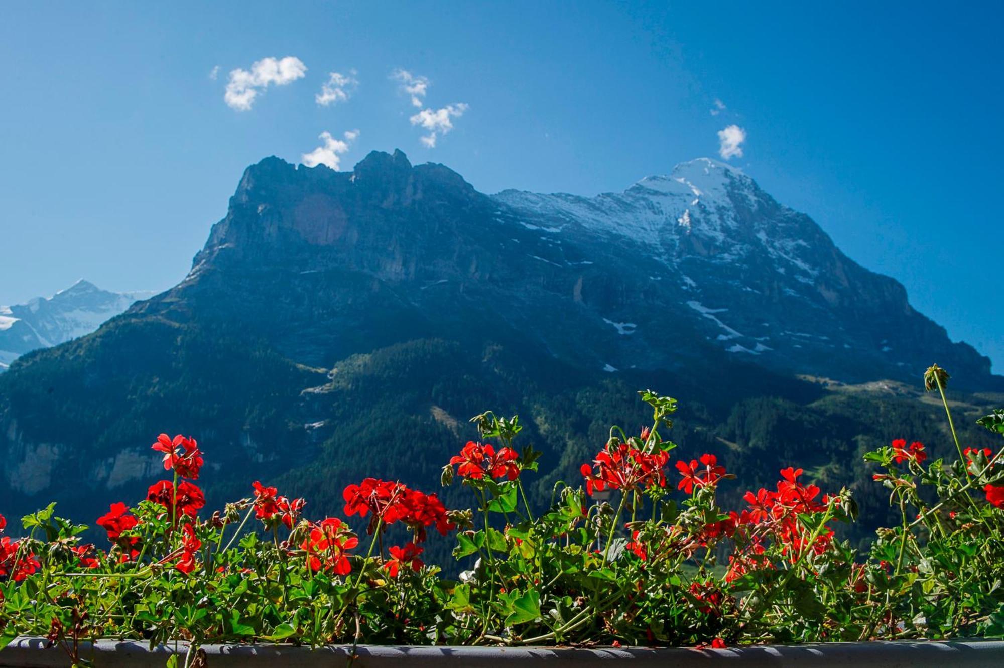Hotel Bernerhof Grindelwald Luaran gambar